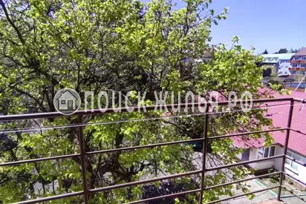 «Цитрус Plus»