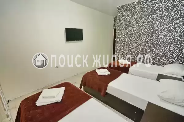 «Южная гавань»