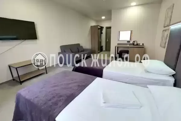 Отель «Тургенев»