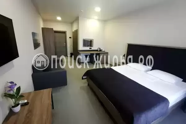 Отель «Тургенев»