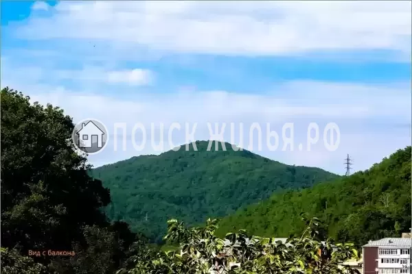 «Новый сезон» «Новый сезон»