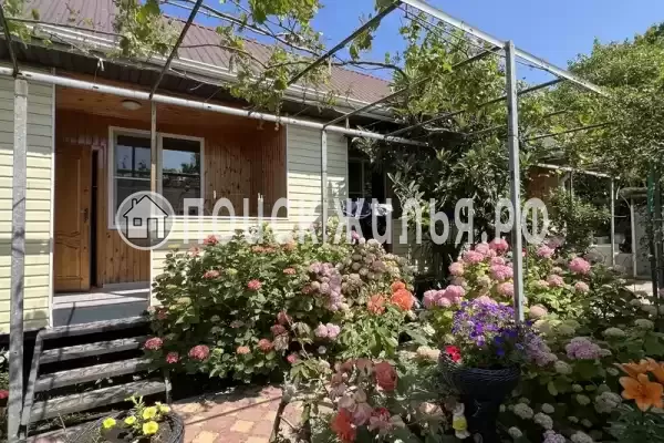 «Злата» «Злата»