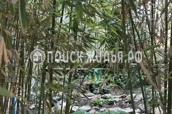 «Солнечный»