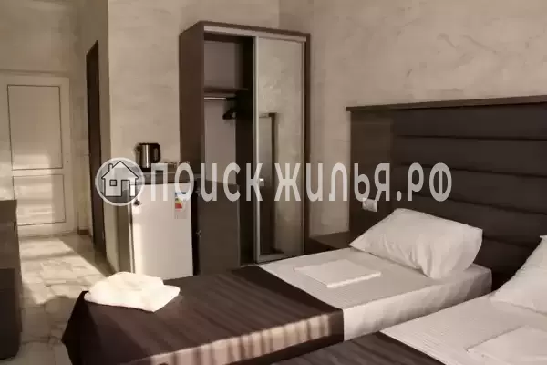 «Амати» «Амати»