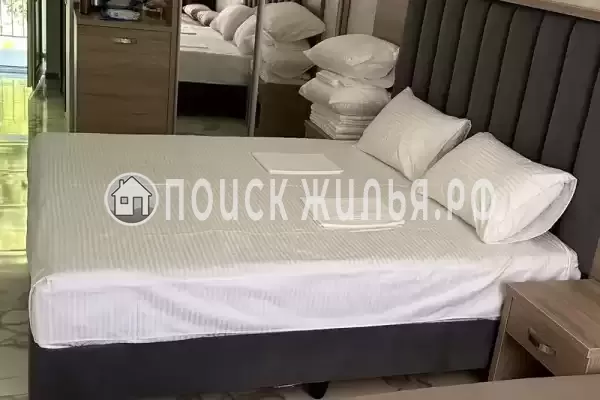 «Амати» «Амати»