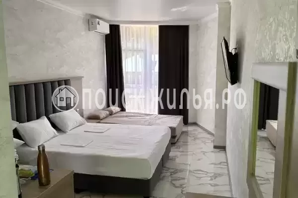 «Амати» «Амати»