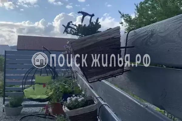 «Краски Черного моря» «Краски Черного моря»