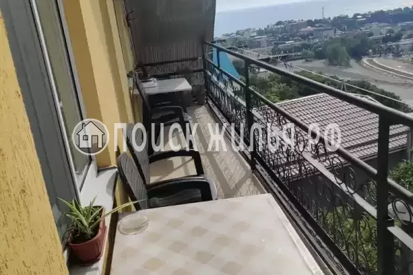 «София» «София»