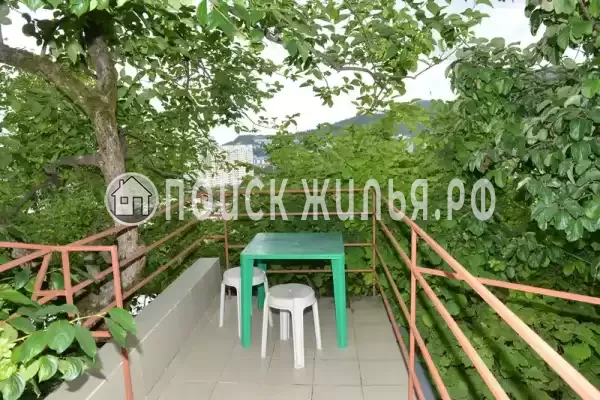 «София» «София»