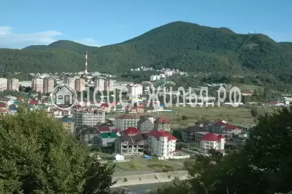 «София» «София»