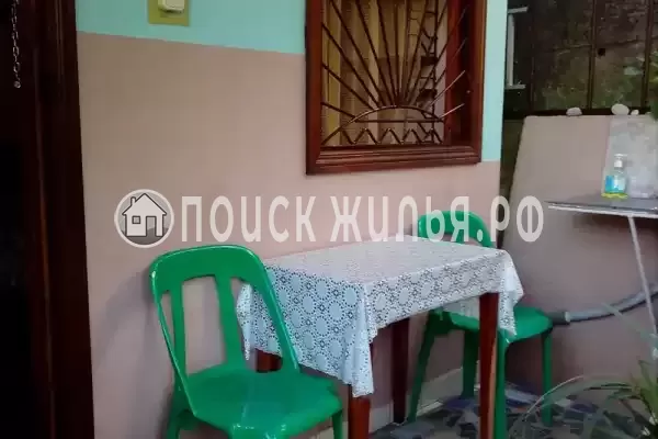 «Агава» «Агава»