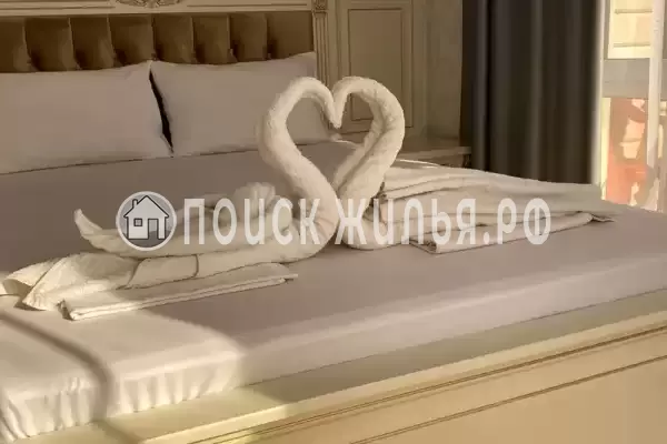 «Монте» «Монте»