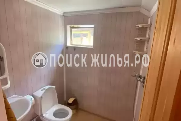 «Виноград»