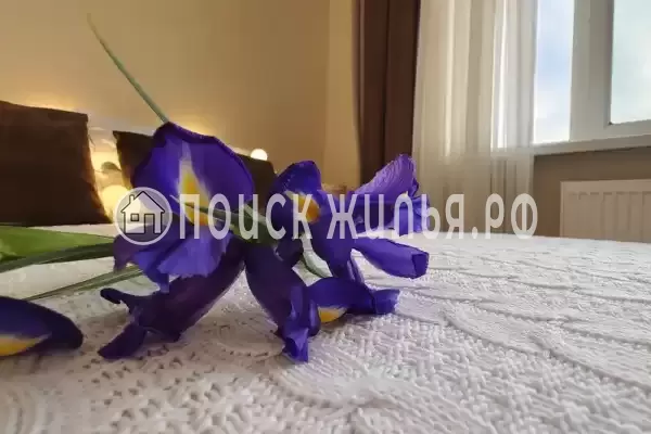 «Центральная»