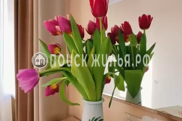 «Центральная»