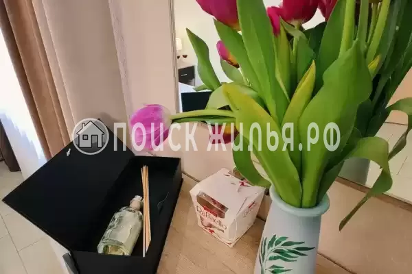 «Центральная»