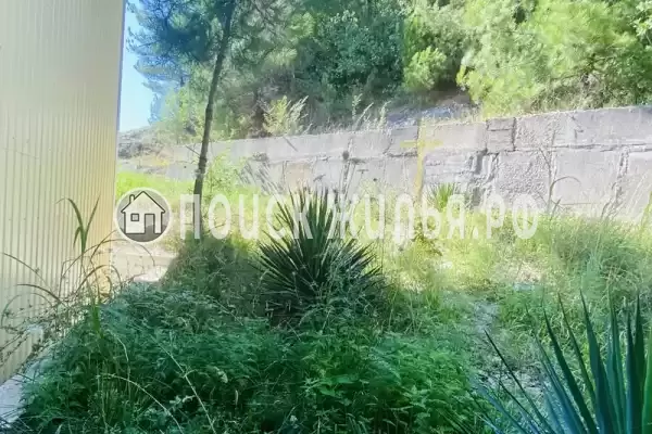 «Мелия family» «Мелия family»