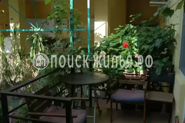 «Фламинго»