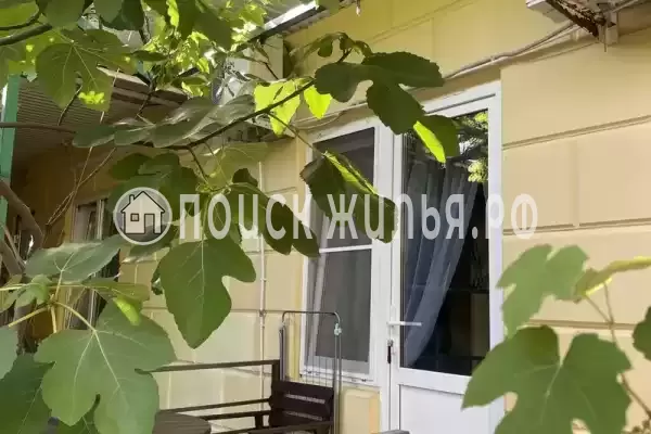 «Фламинго»