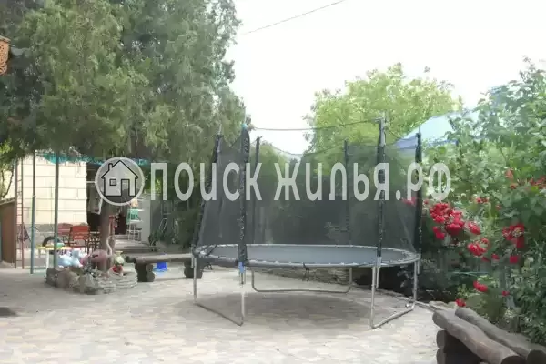 «Фламинго»