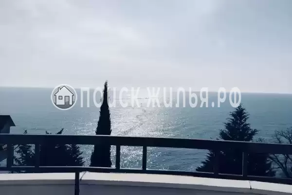 «Магас» «Магас»