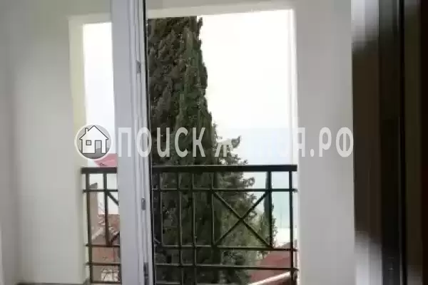 «Магас» «Магас»