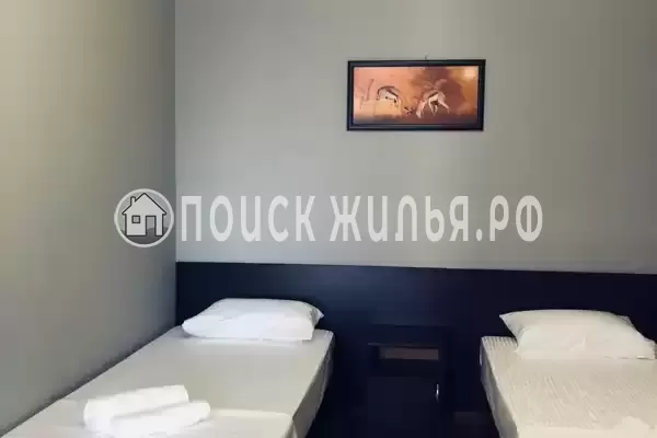 «Магас» «Магас»