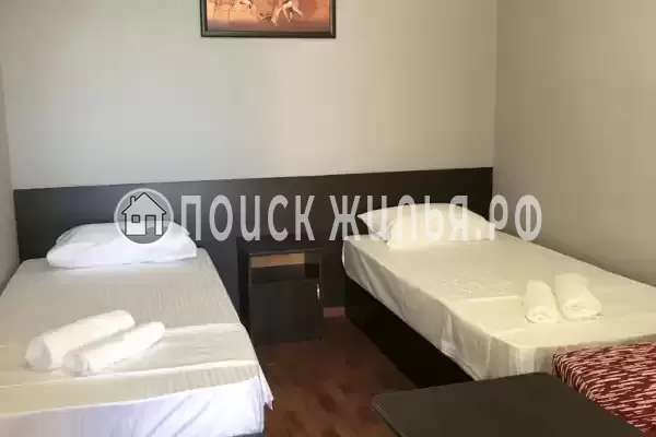 «Магас» «Магас»