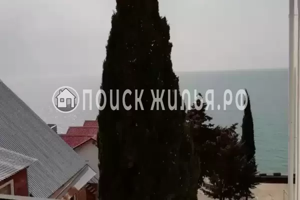 «Магас» «Магас»