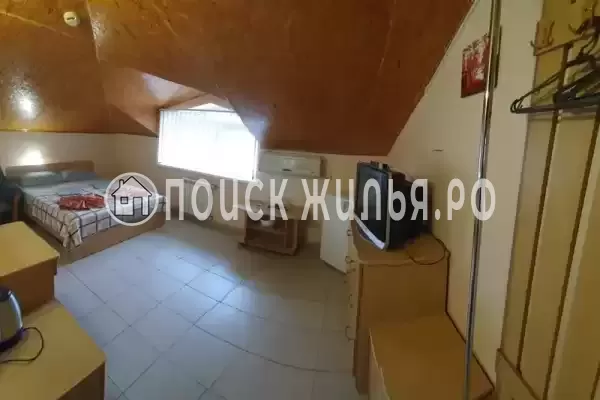 «Янис» «Янис»