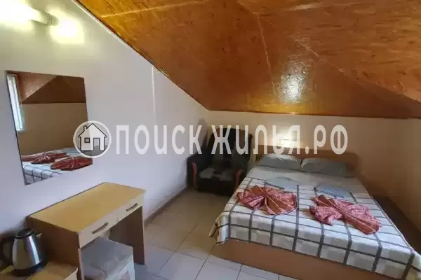 «Янис» «Янис»