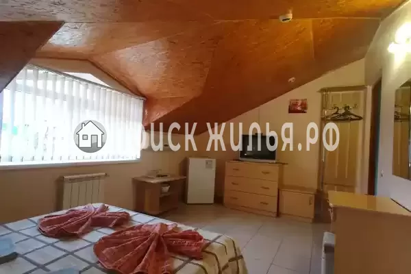 «Янис» «Янис»