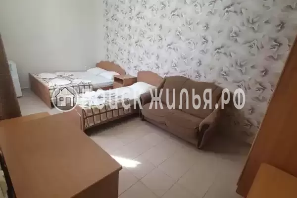 «Янис» «Янис»