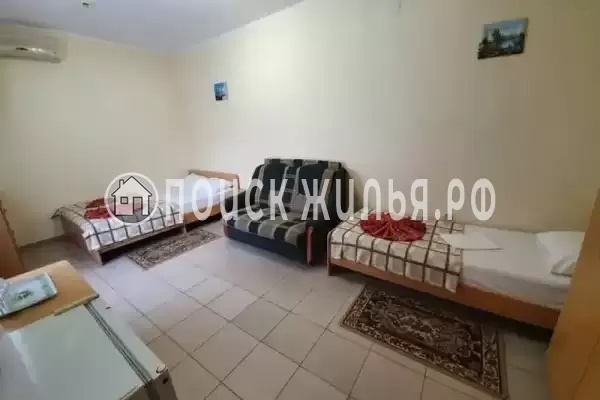 «Янис» «Янис»