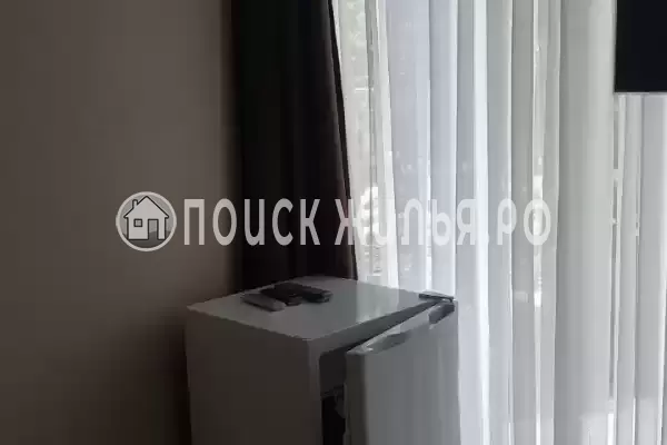 «Гортензия»