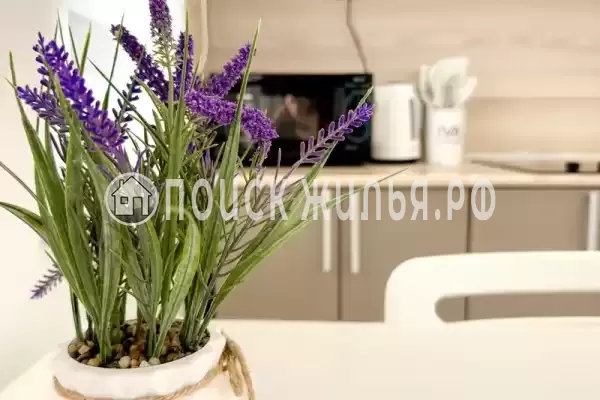 Частный сектор «Apart Zone»