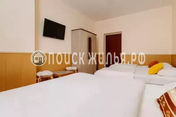 «Дельфин Парк» «Дельфин Парк»