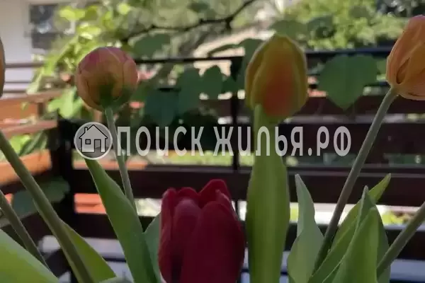 «Аир» «Аир»