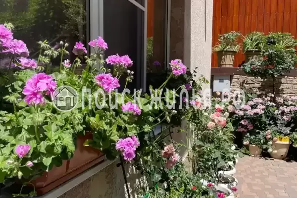 Частный сектор «Розмарин»