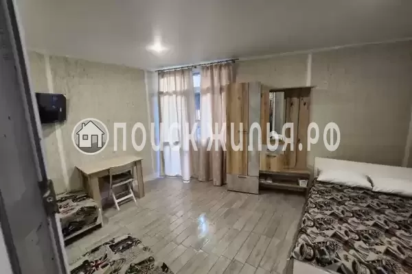 «Виноградная лоза» «Виноградная лоза»