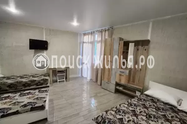 «Виноградная лоза» «Виноградная лоза»