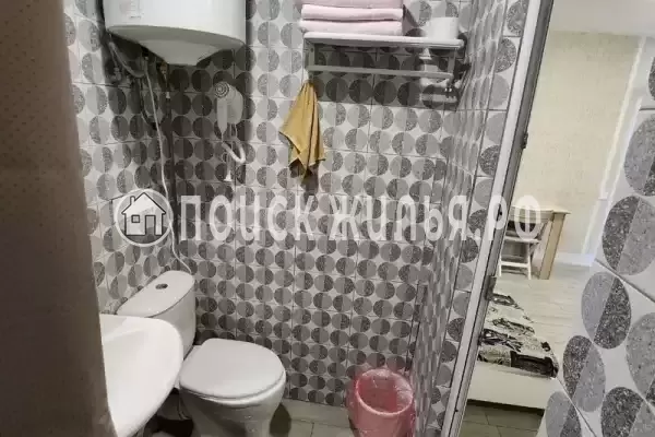 «Виноградная лоза» «Виноградная лоза»