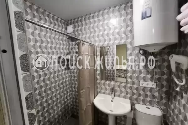 «Виноградная лоза» «Виноградная лоза»