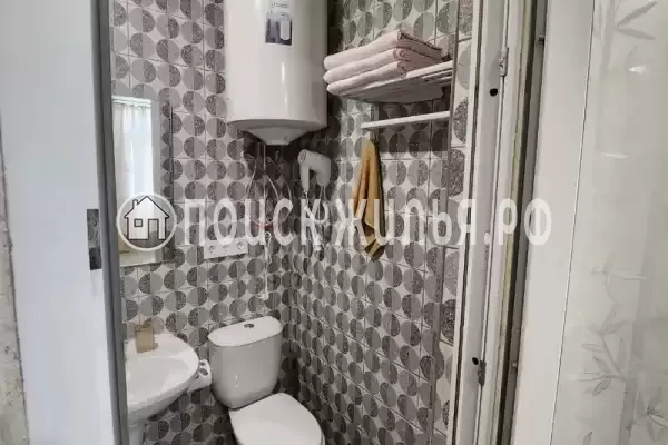 «Виноградная лоза» «Виноградная лоза»