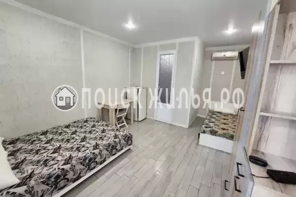 «Виноградная лоза» «Виноградная лоза»