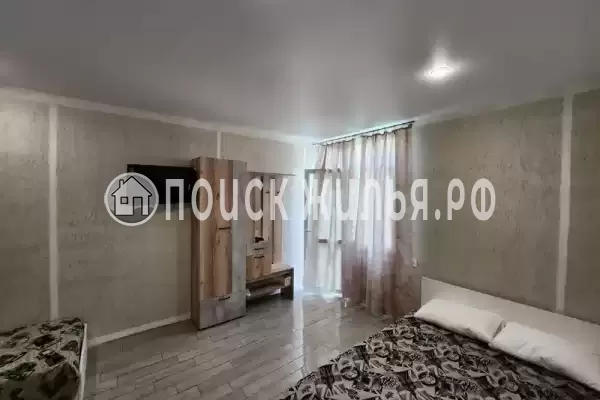 «Виноградная лоза» «Виноградная лоза»