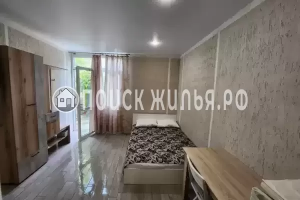 «Виноградная лоза» «Виноградная лоза»