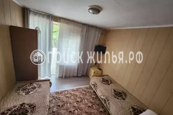 «Виноградная лоза» «Виноградная лоза»