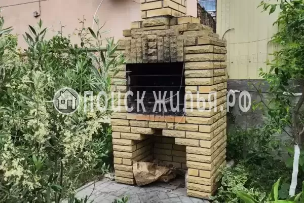 «Виноградная лоза» «Виноградная лоза»