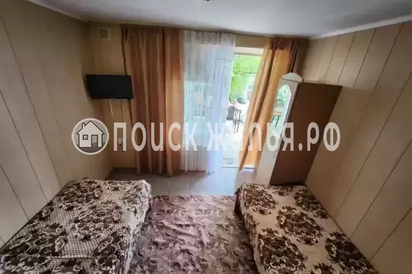 «Виноградная лоза» «Виноградная лоза»